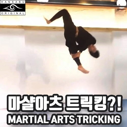 martialarts_tricking